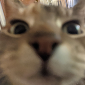 Inky Scratches: Act Your Age