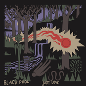 Black Pool: Olive Juice