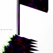 digital introspection