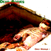 Orgy Morgue 2