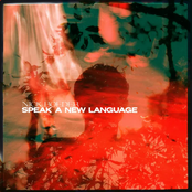 Speak A New Language