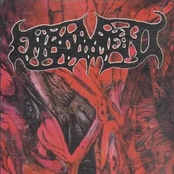 Corrosion of the Flesh