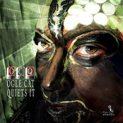 Ogle Cat Quiets It