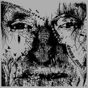 The Holy Mountain / Cobra Noir