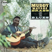 Take My Advice by Muddy Waters