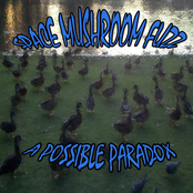 Sunshine Of Your Dove by Space Mushroom Fuzz