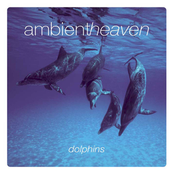 Ambient Heaven - Dolphins
