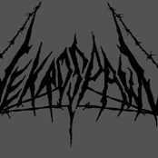 Nekrospawn