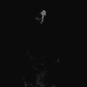 Drain and Salt the Wombs of Mothers