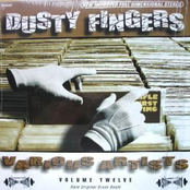 Dusty Fingers Volume Twelve