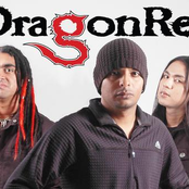 dragon red