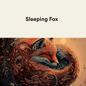Sleeping Fox