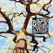 Swollen But Not The Same by Bobby Bare Jr.