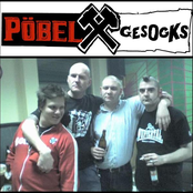 pöbel & gesocks