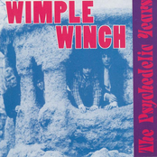 The Psychedelic Years