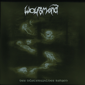 Des Dusterwaldes Reigen