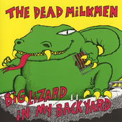 Swordfish by The Dead Milkmen