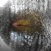 When love is gone (we stay alone)