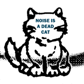Noise Is A Dead Cat