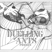 Duelling Ants