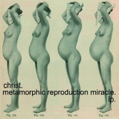 metamorphic reproduction miracle