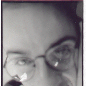 settel for less: a tribute to German Cars vs American Homes