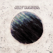 Violet Variations