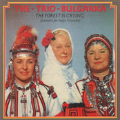 The Forest Is Crying (Lament for Indje Volvode)