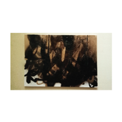 No Bull One Left Behind