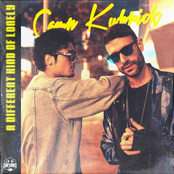 Different Kind of Lonely (feat. Don Diablo) - Single