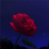 experience (slowed + reverb)