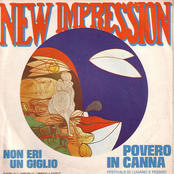 Non Eri Un Giglio / Povero In Canna