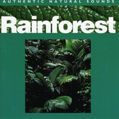 Relax With Nature Vol. 10