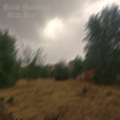 Mirar Atrás