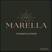 Calamarella Sunset 2023