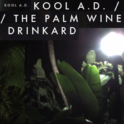 Flying Thru The Air Inna Airplane by Kool A.d.