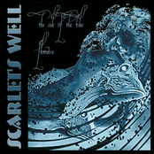 Isle Of The Blue Flowers