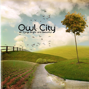 Deer In The Headlights by Owl City