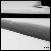 Variety Of Mental Disciplines - Single