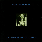 Smear The Rushes by Tear Ceremony