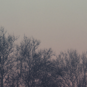 Don't Worry, I'm With You