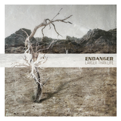 Alles Auf Anfang by Endanger