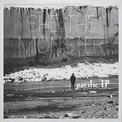 I Like You the Way You Are