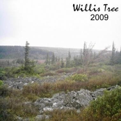 willis tree