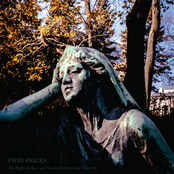 TWIN PRICKS - This Might Be The Last Time You'll Ever Hear From Us