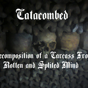Decomposition Of A Carcass From A Rotten And Splited Mind