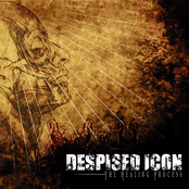 Despised Icon: The Healing Process