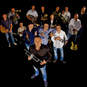 Dejan Petrovic Big Band