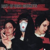 The Divorce by Raft Of Dead Monkeys