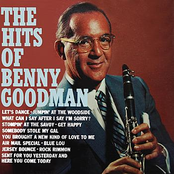 You Brought A New Kind Of Love To Me by Benny Goodman And His Orchestra